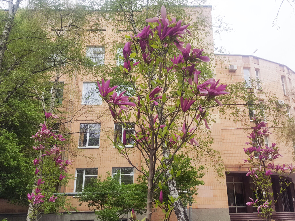 5 червня – Всесвітній день охорони навколишнього середовища