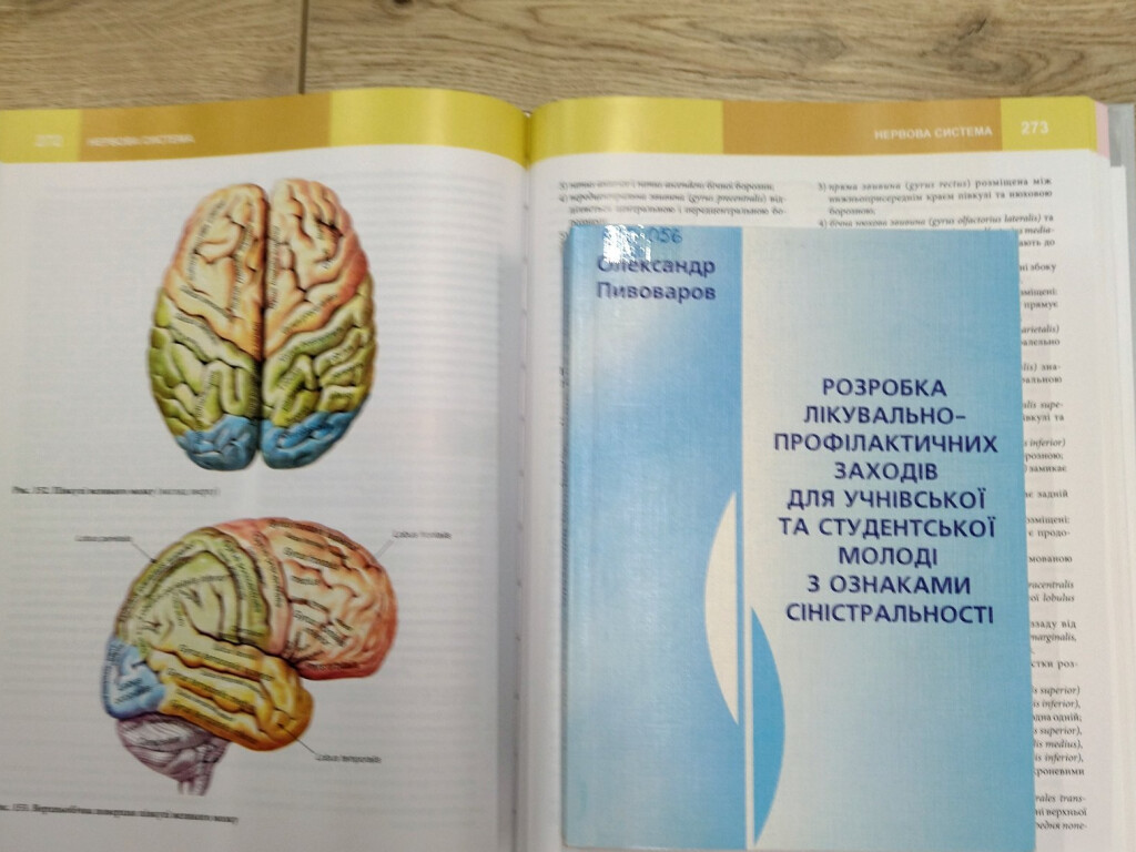 Міжнародний день шульги
