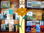 ЛІТО – найкращий час для читання
